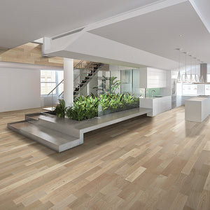 Amarosa Luminoso Ash Hardwood installed in a minimal open concept room