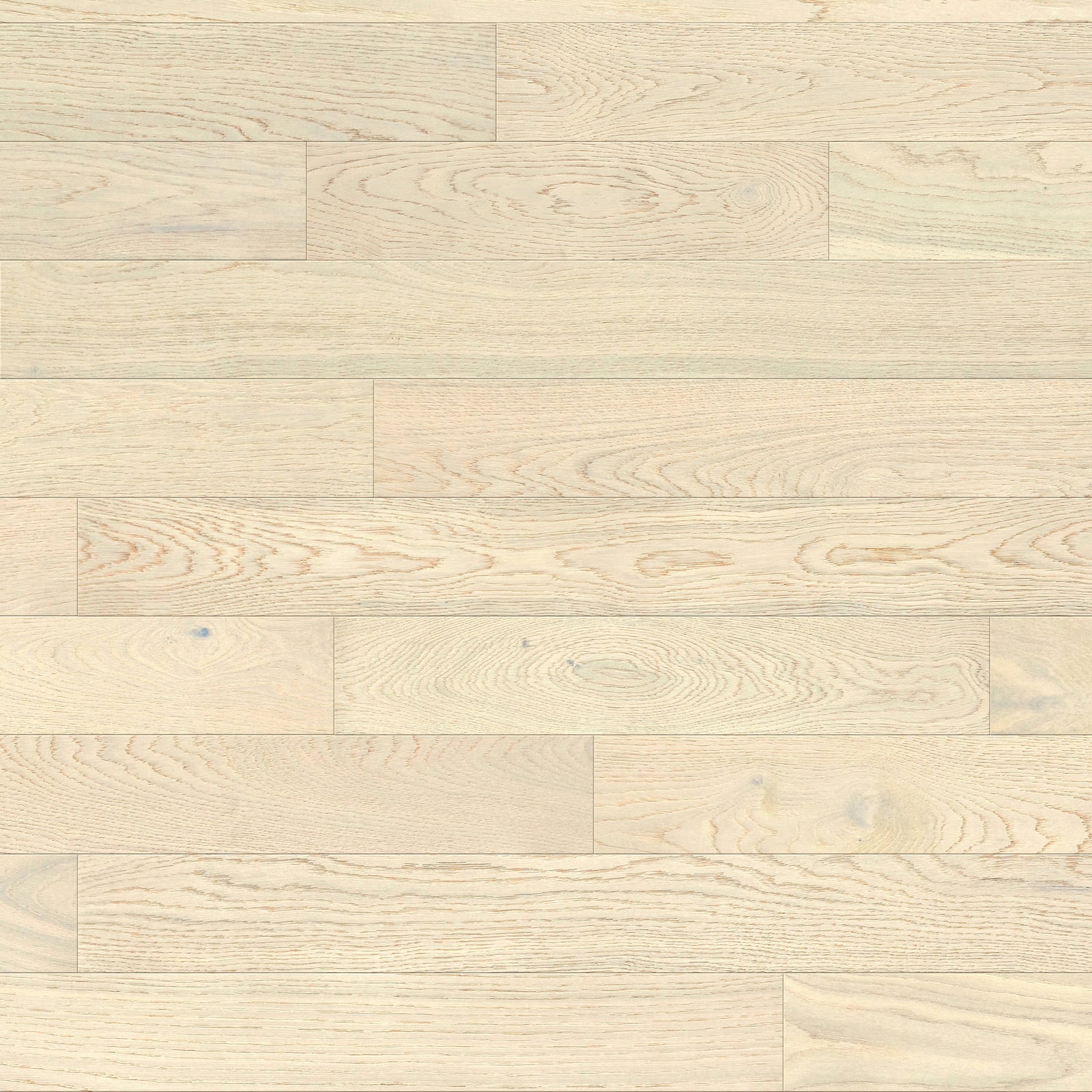 Amarosa | Luna | Oak