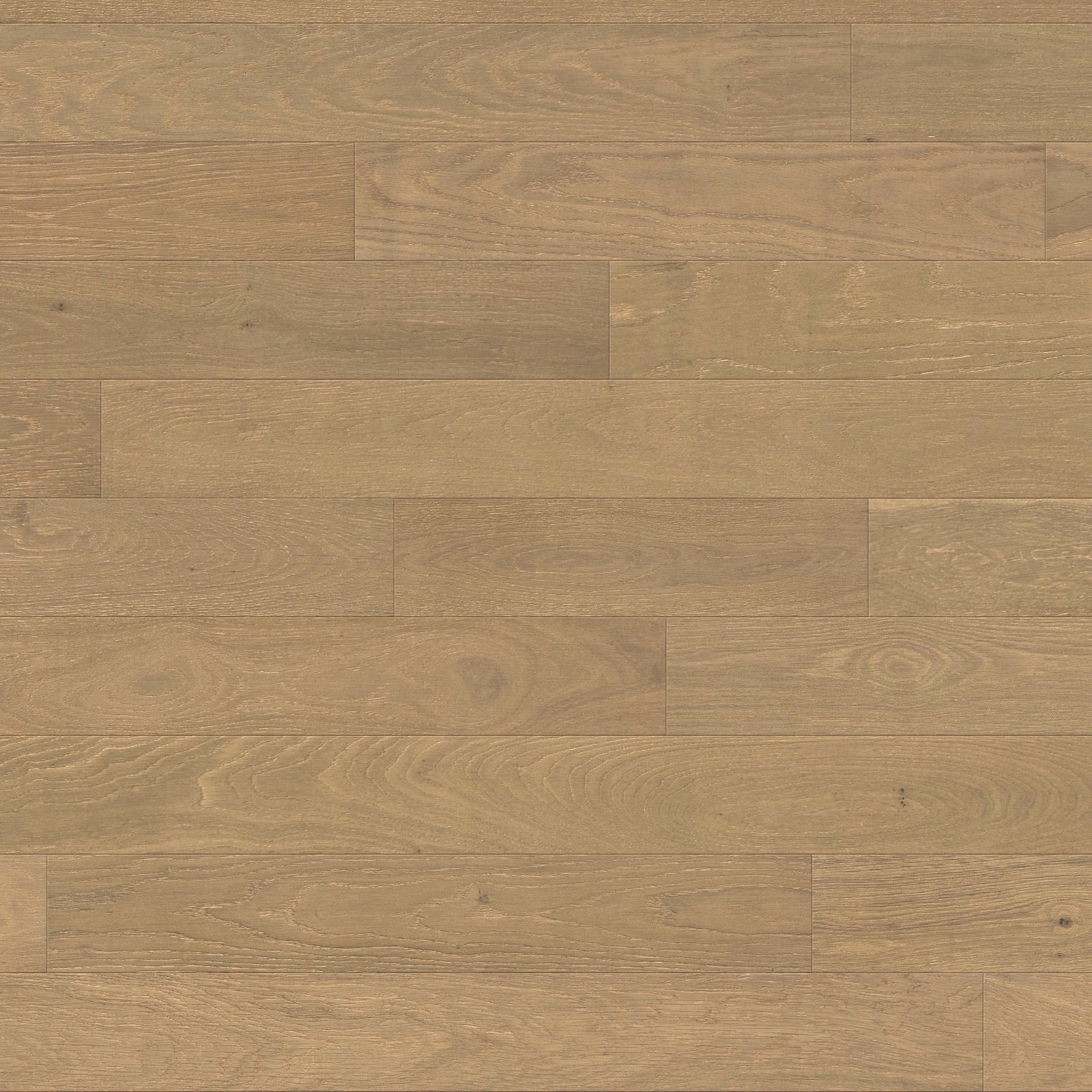 Amarosa | Mira | Oak