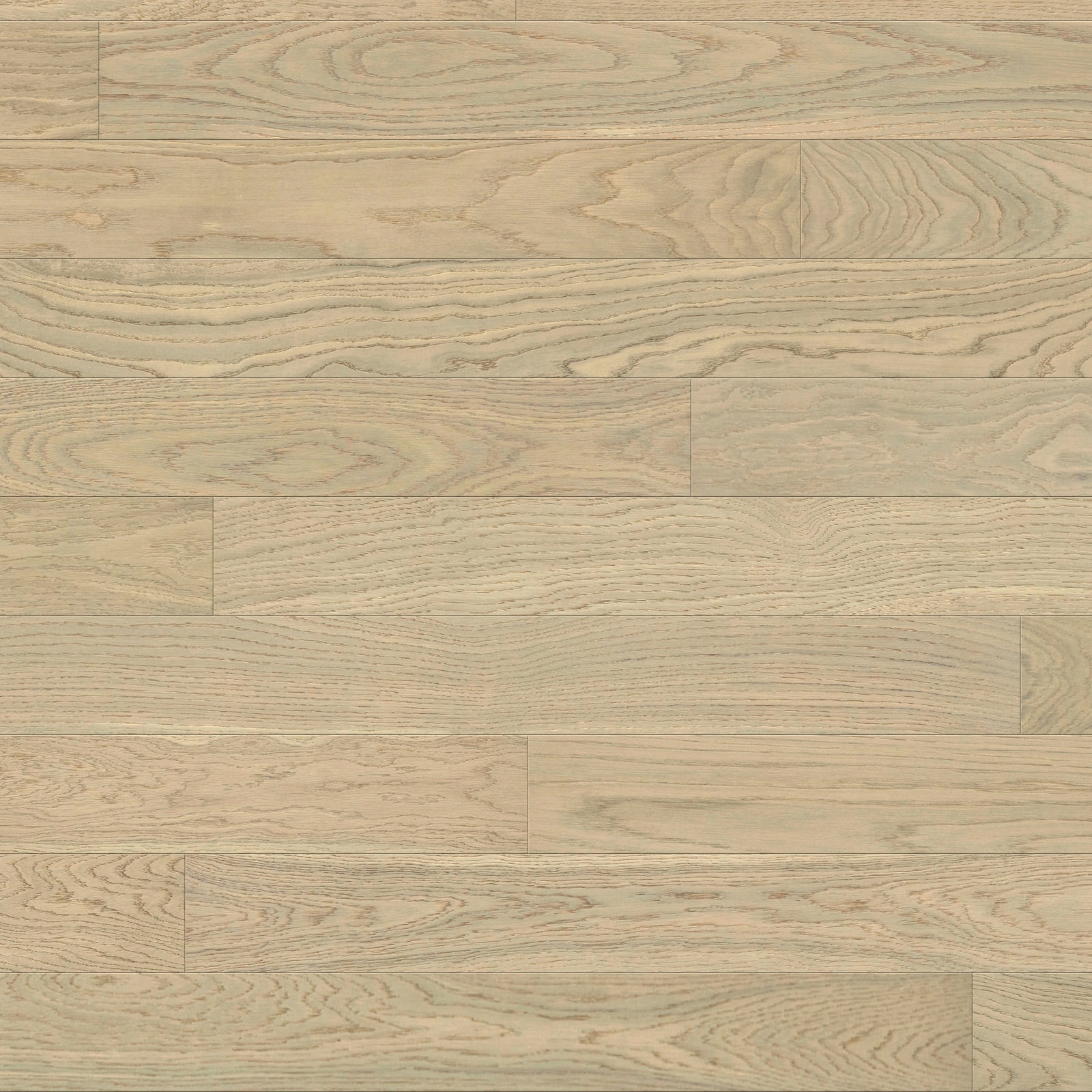 Amarosa | Valencia | Oak