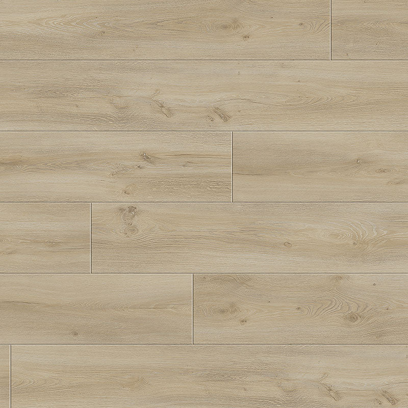 Maestro | Arietta | Oak