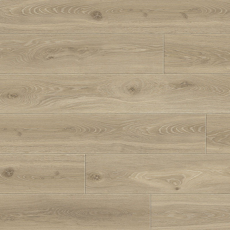 Laminate planks in a light colour in oak grain
