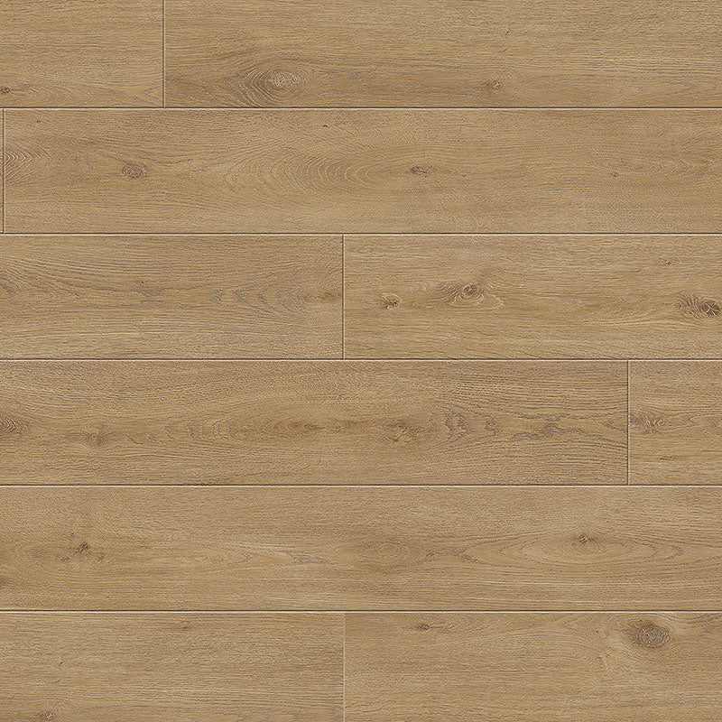 Maestro | Pasticcio | Oak