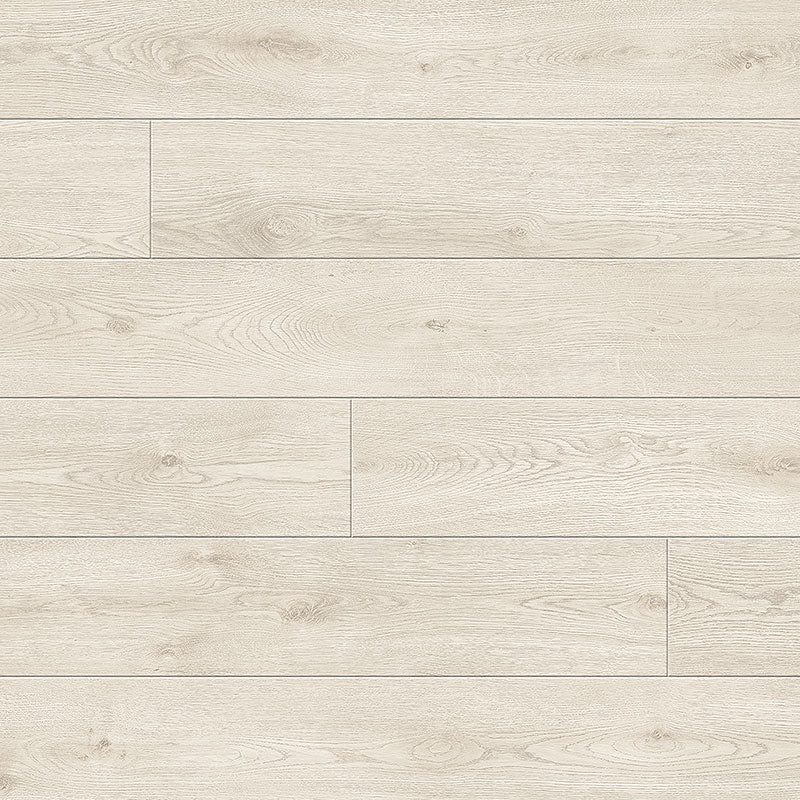 Maestro | Timpiani | Oak