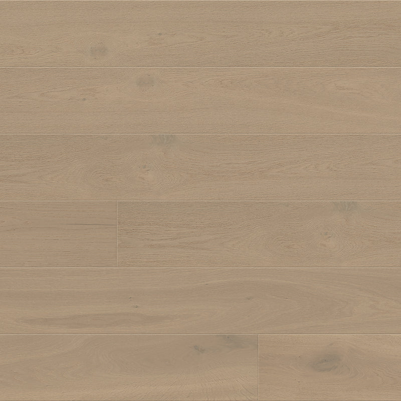 Pied-à-Terre | Chantilly | European Oak