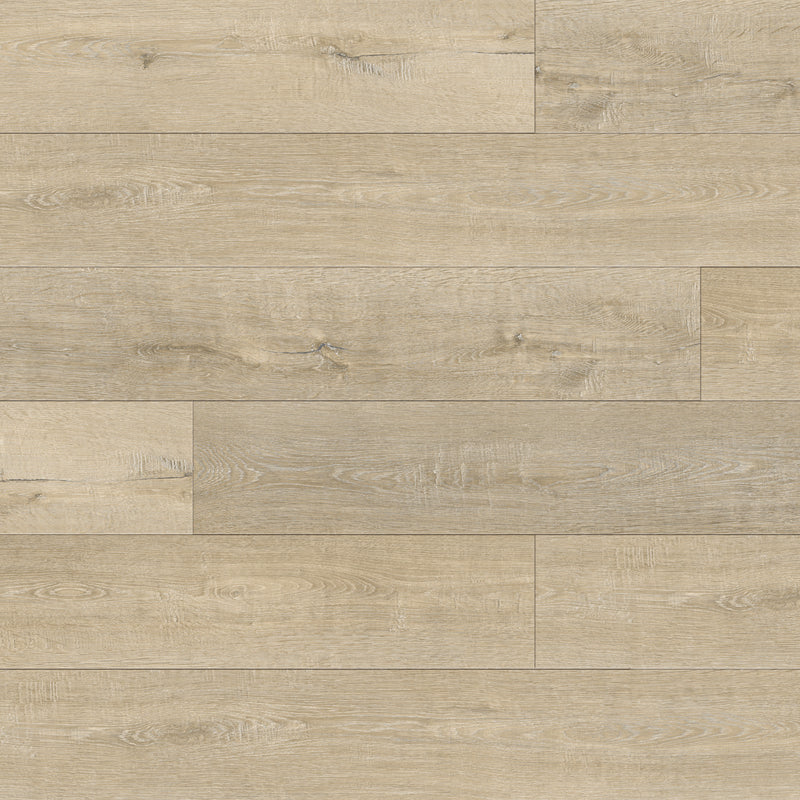 Quest | Cincinnati Kid XL | Oak