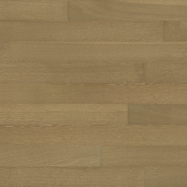 Coastline | Oak | Lost at Sea