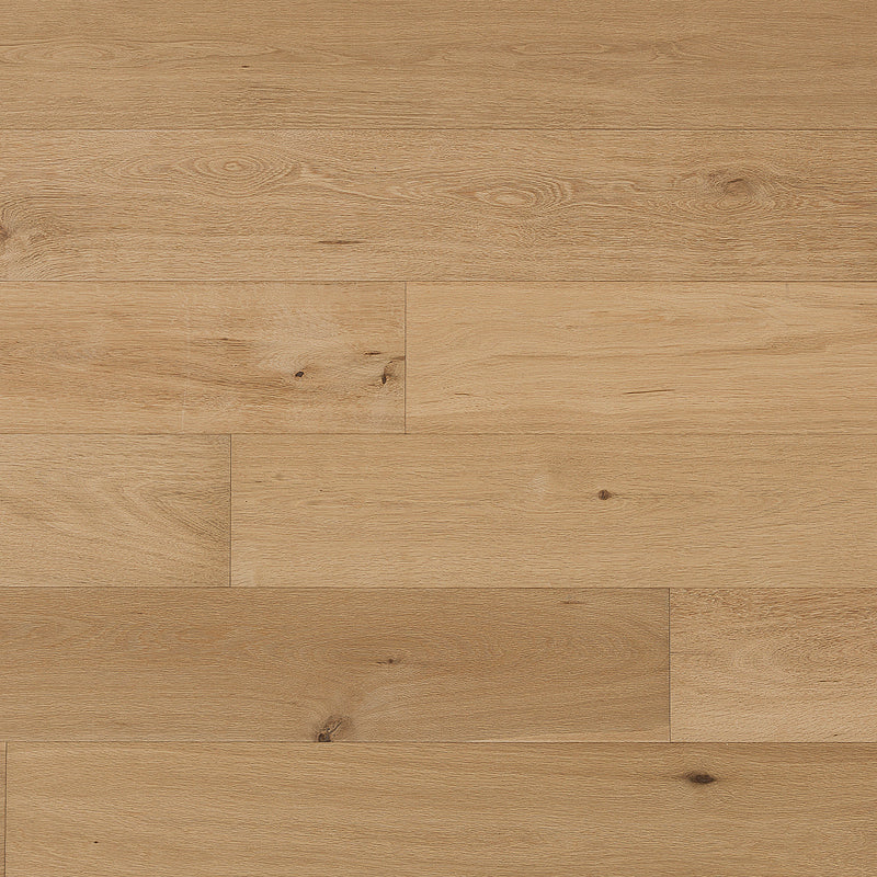 Cosmopolitan Naked European Oak Hardwood