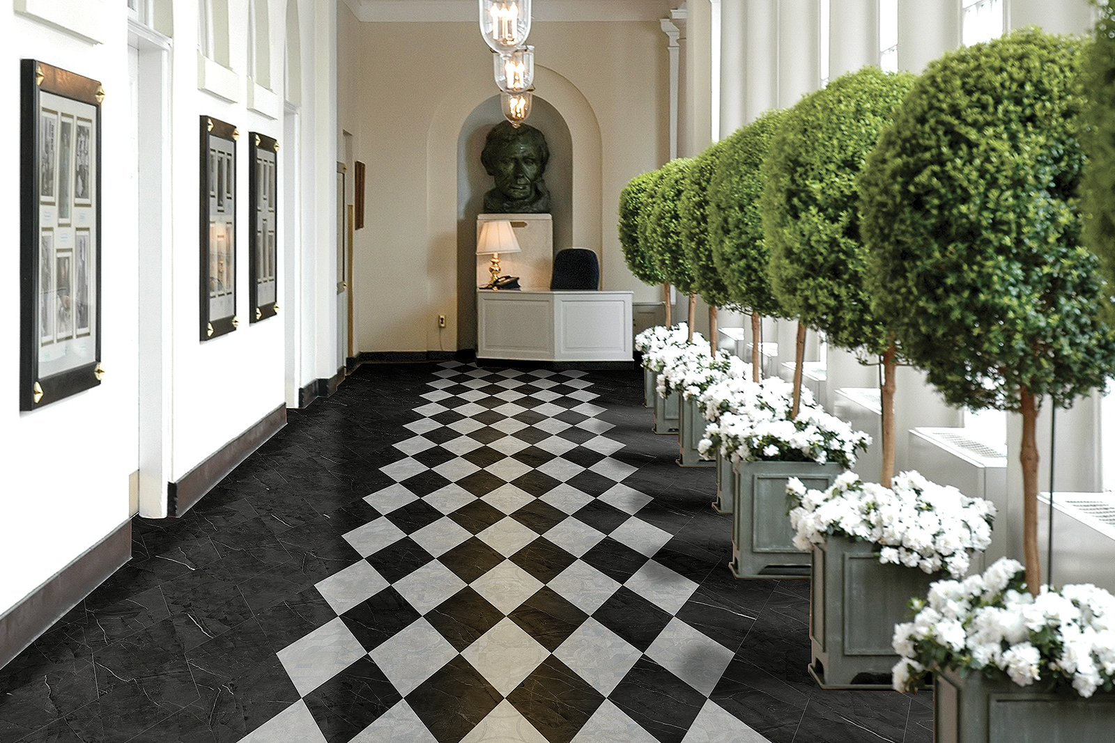 TRANSCEND - DIAMOND 2D