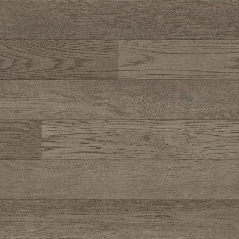 Pied-à-Terre | Concorde | European Oak