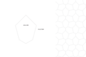 TRANSCEND - POLYGON